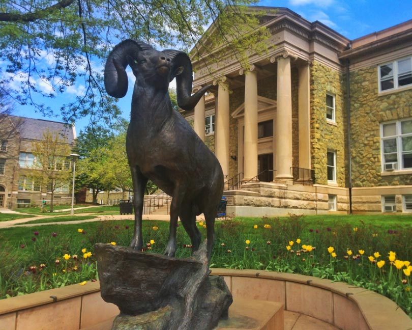 Ram statue in front of a West Chester University campus building.
